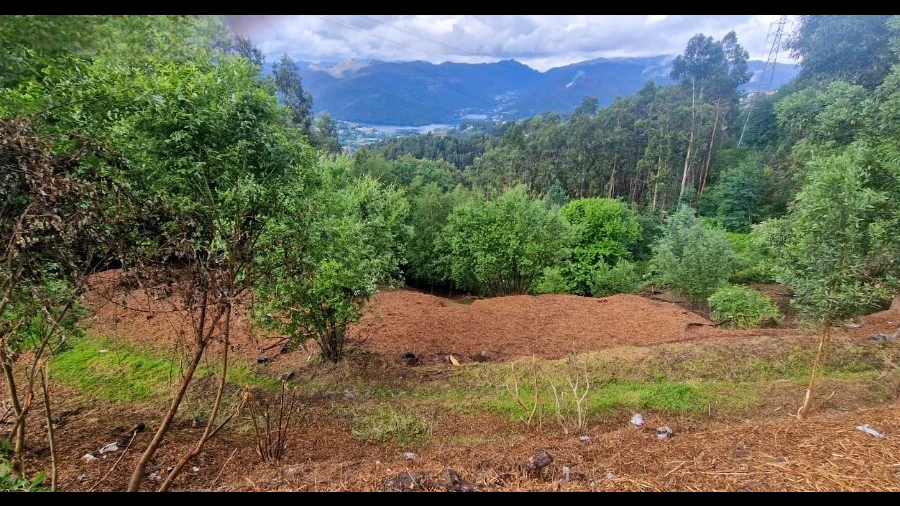 Terreno para Venda em Caniçada e Soengas