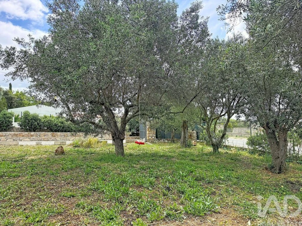 Moradia T3 para Venda em São Brás de Alportel Foto 5