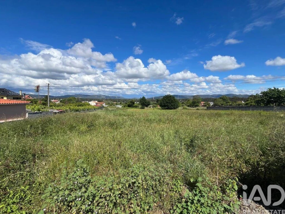 Terreno para Venda em São Romão de Neiva Foto 6