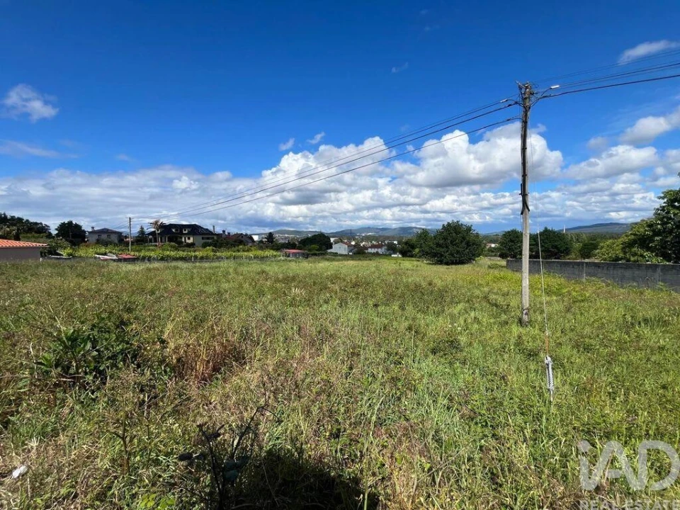 Terreno para Venda em São Romão de Neiva Foto 2