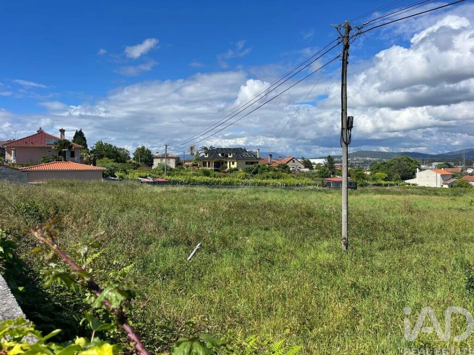 Terreno para Venda em São Romão de Neiva Foto 5