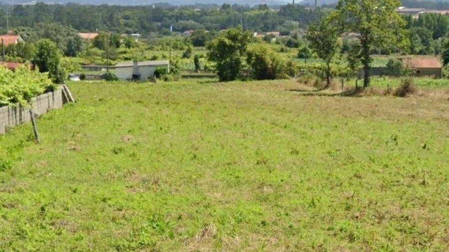 Terreno para Venda em São Romão de Neiva