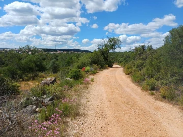 Terreno para Venda em Querença, Tôr e Benafim
