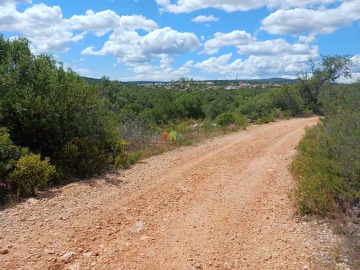 Terreno para Venda em Querença, Tôr e Benafim