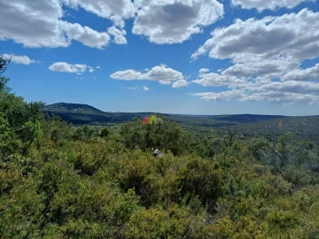 Terreno para Venda em Querença, Tôr e Benafim