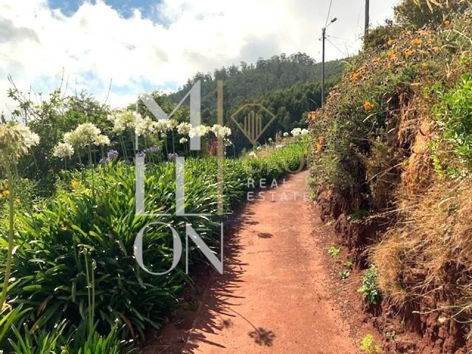 Terreno para Venda em Funchal (Santa Maria Maior) Foto 8