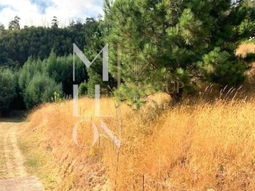 Terreno para Venda em Funchal (Santa Maria Maior)