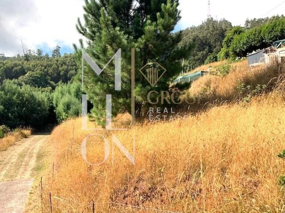 Terreno para Venda em Funchal (Santa Maria Maior) Foto 3