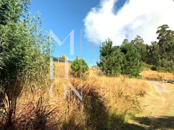 Terreno para Venda em Funchal (Santa Maria Maior) Foto 6
