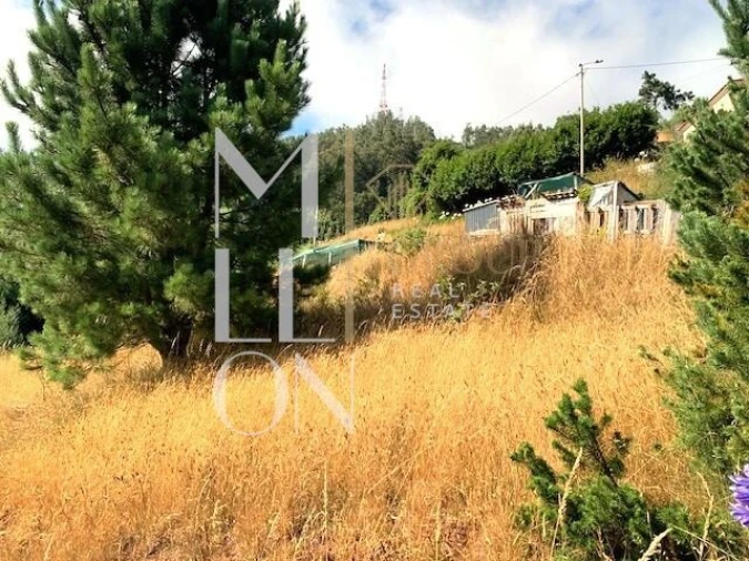 Terreno para Venda em Funchal (Santa Maria Maior) Foto 5