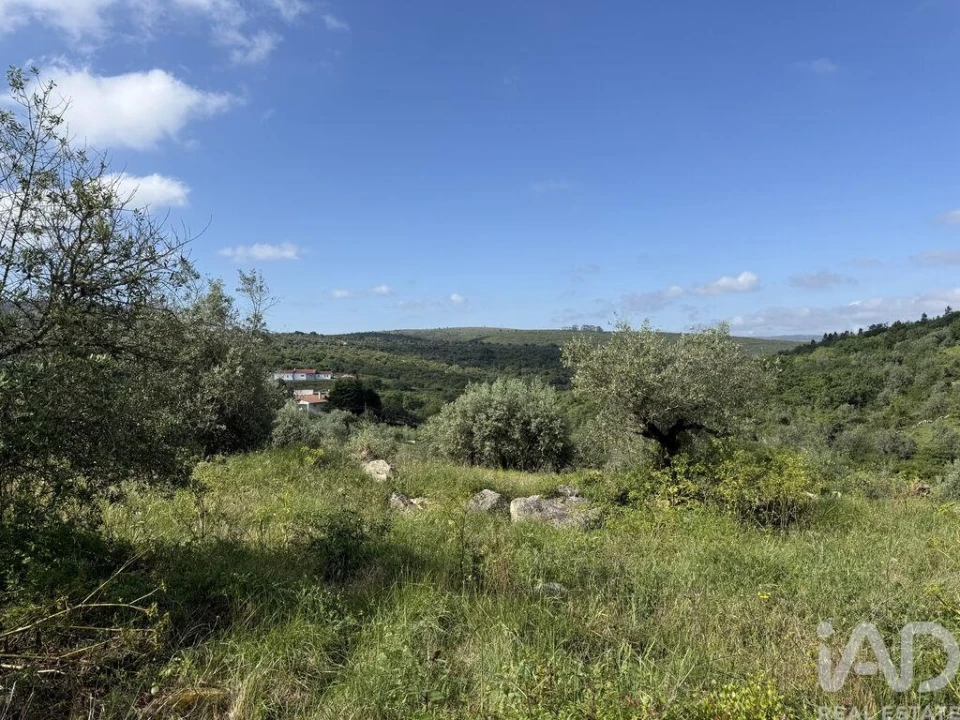 Terreno para Venda em Alqueidão da Serra Foto 15