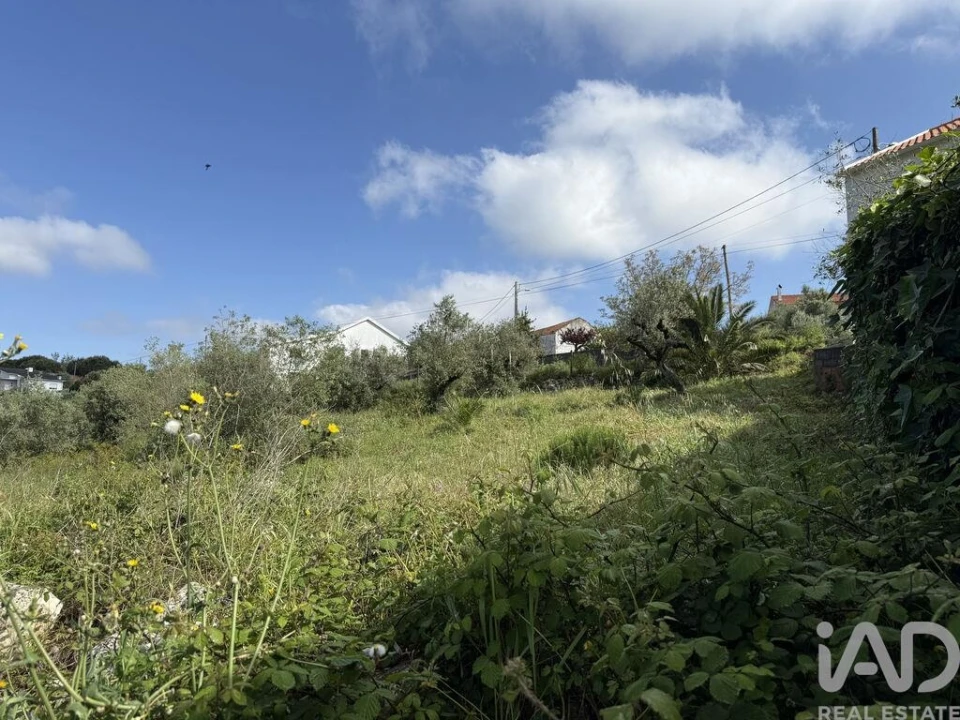 Terreno para Venda em Alqueidão da Serra Foto 8