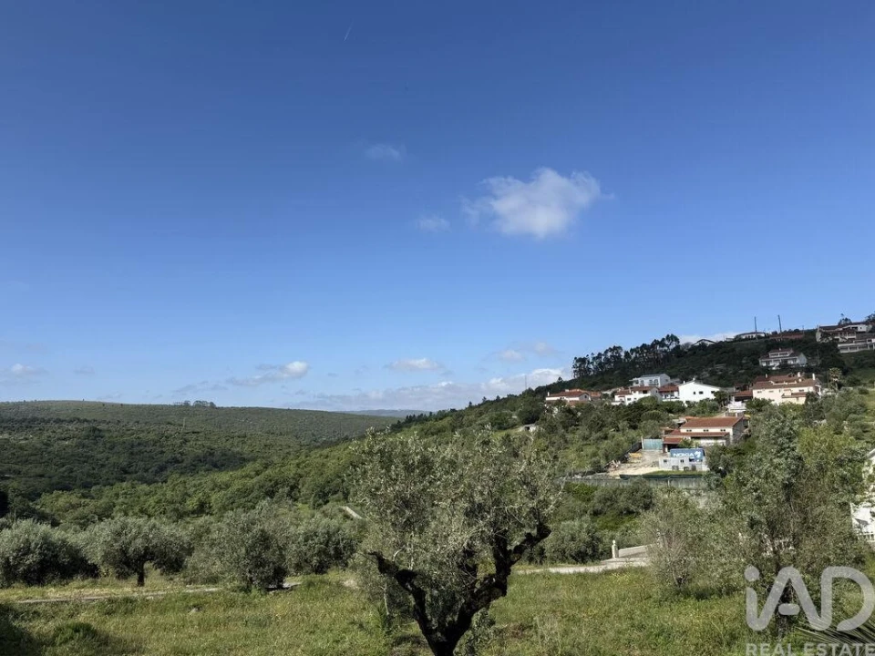 Terreno para Venda em Alqueidão da Serra Foto 5