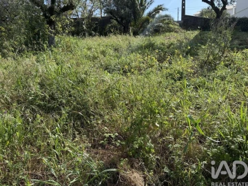 Terreno para Venda em Alqueidão da Serra