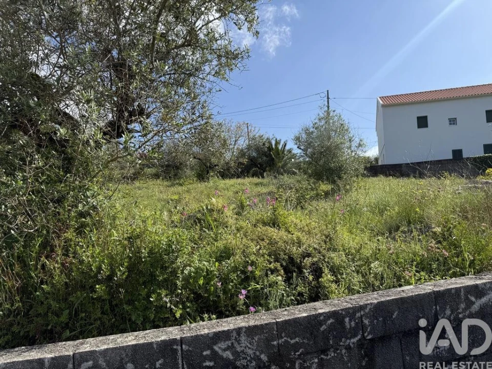 Terreno para Venda em Alqueidão da Serra Foto 17
