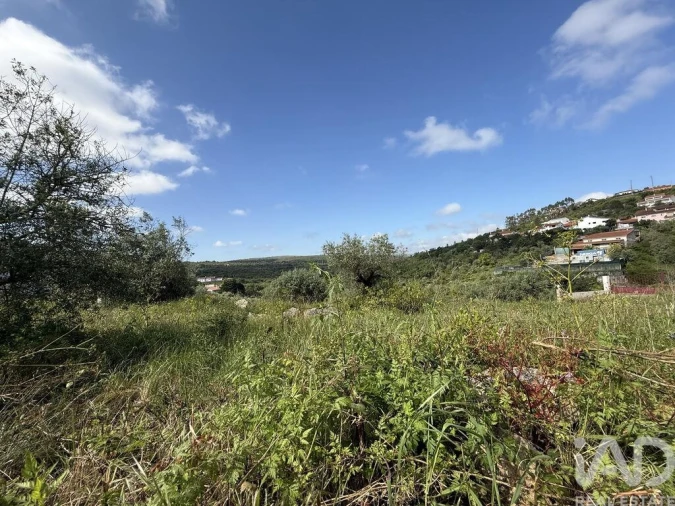 Terreno para Venda em Alqueidão da Serra Foto 13