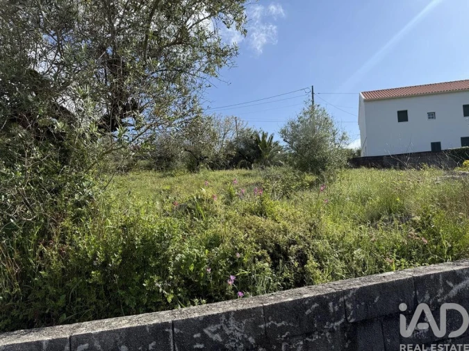 Terreno para Venda em Alqueidão da Serra Foto 17