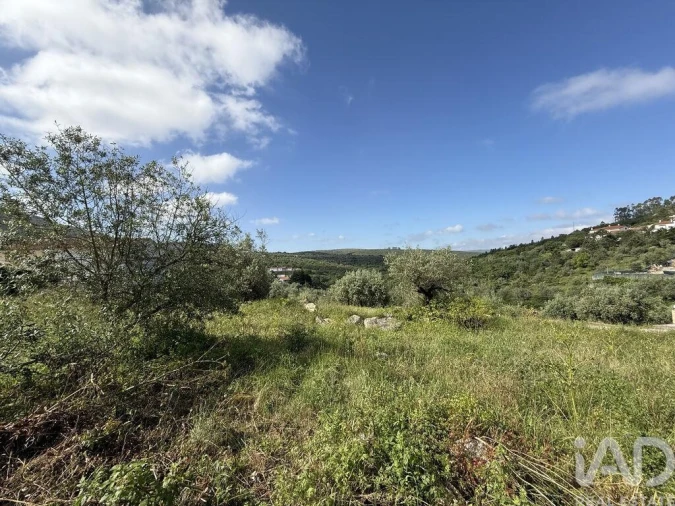 Terreno para Venda em Alqueidão da Serra Foto 3