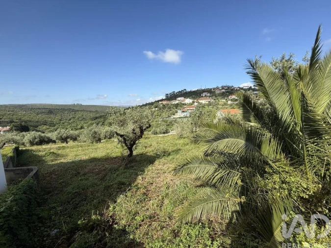 Terreno para Venda em Alqueidão da Serra Foto 6