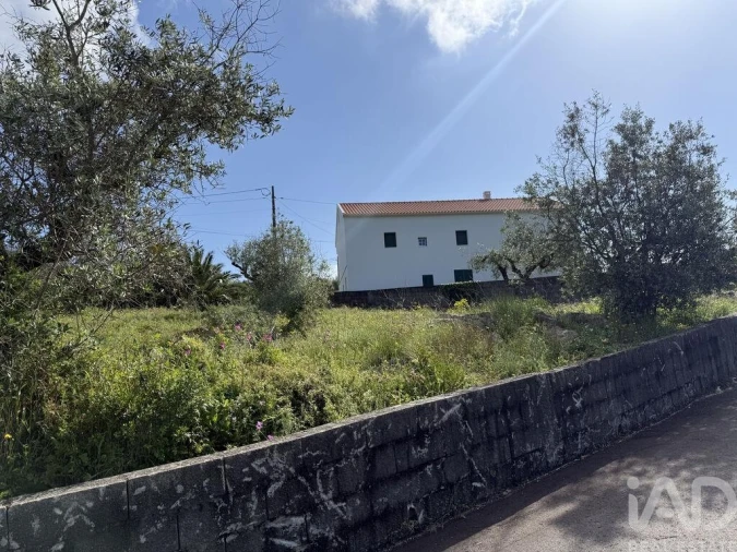 Terreno para Venda em Alqueidão da Serra Foto 9