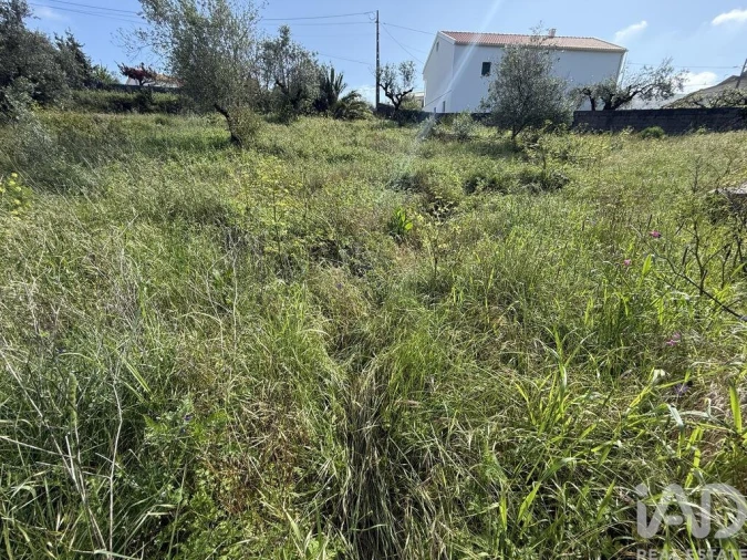 Terreno para Venda em Alqueidão da Serra Foto 20