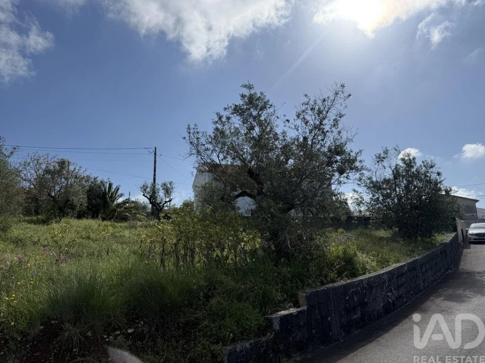 Terreno para Venda em Alqueidão da Serra Foto 19