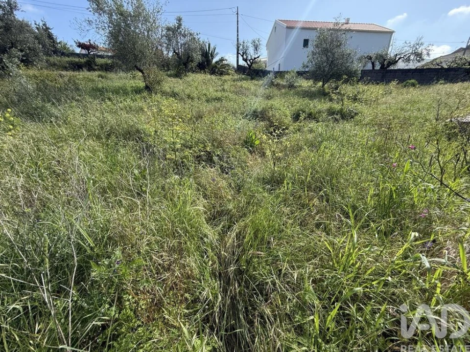 Terreno para Venda em Alqueidão da Serra Foto 20