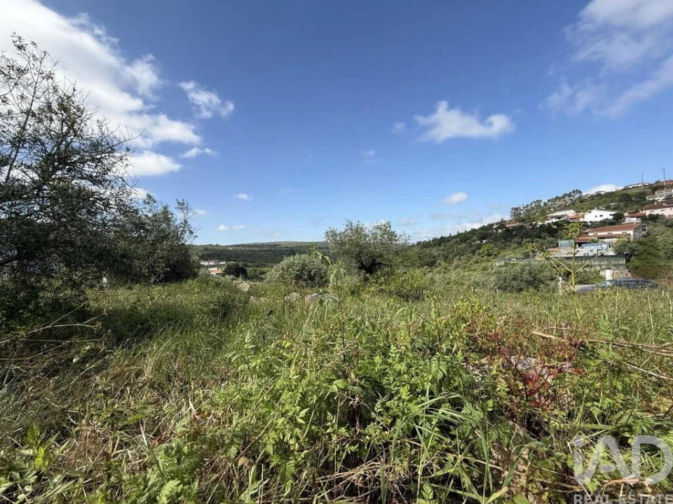 Terreno para Venda em Alqueidão da Serra Foto 14