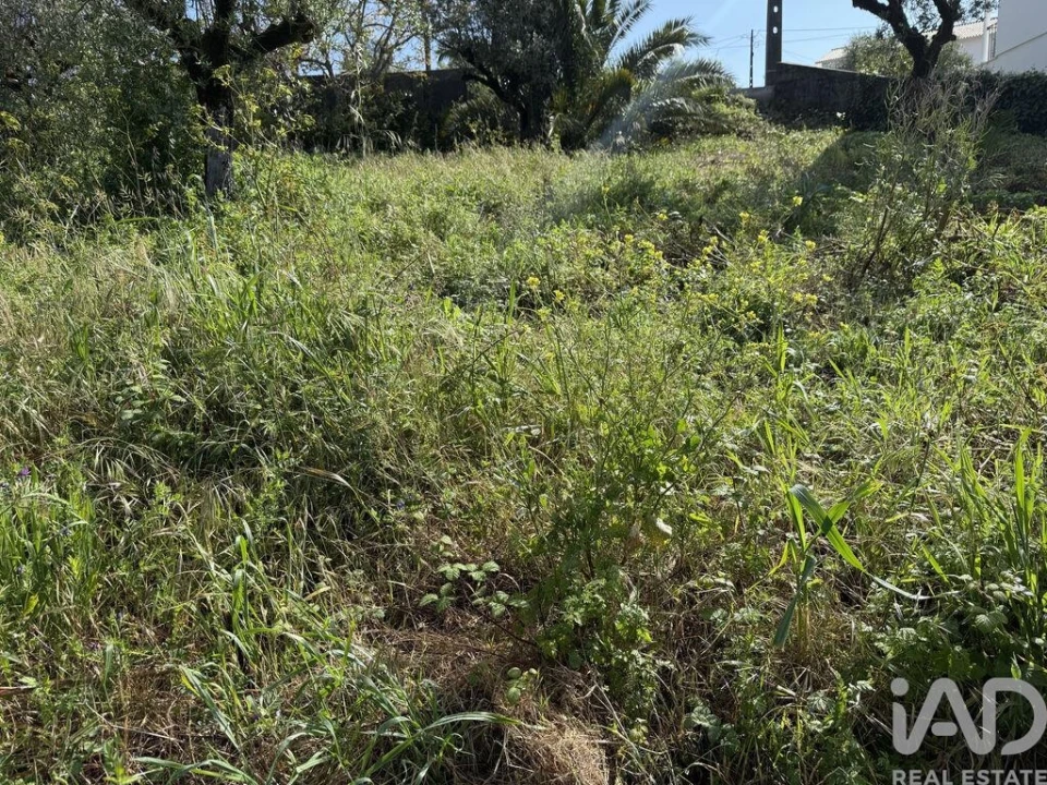 Terreno para Venda em Alqueidão da Serra Foto 16