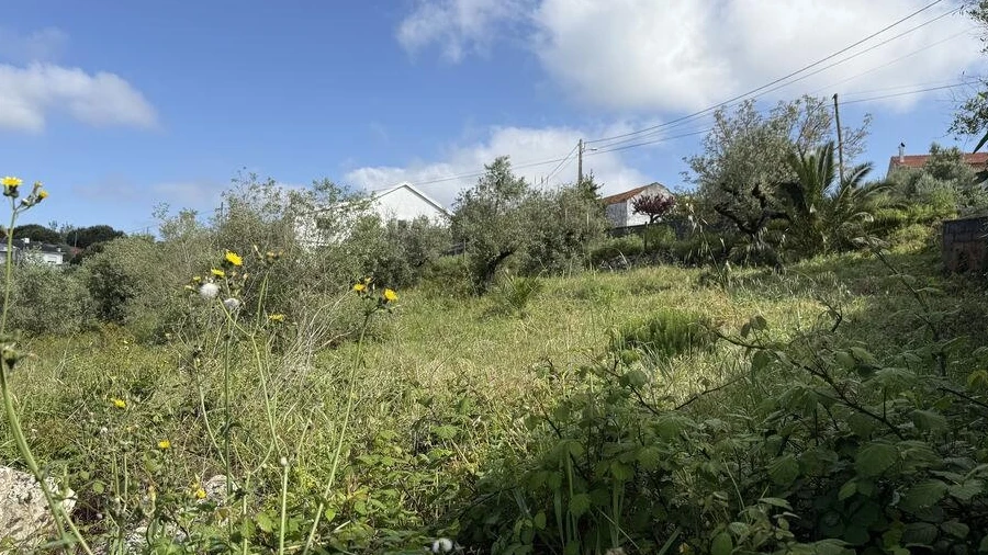 Terreno para Venda em Alqueidão da Serra