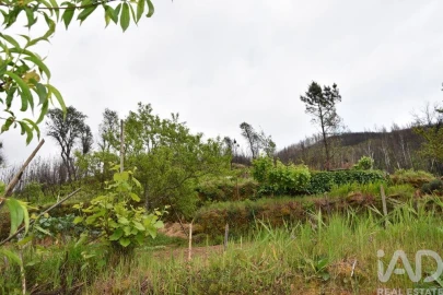 Moradia T5 para Venda em Penalva de Alva e São Sebastião da Feira