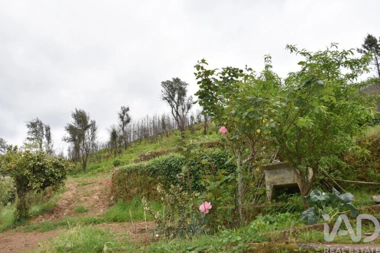 Moradia T5 para Venda em Penalva de Alva e São Sebastião da Feira Foto 7