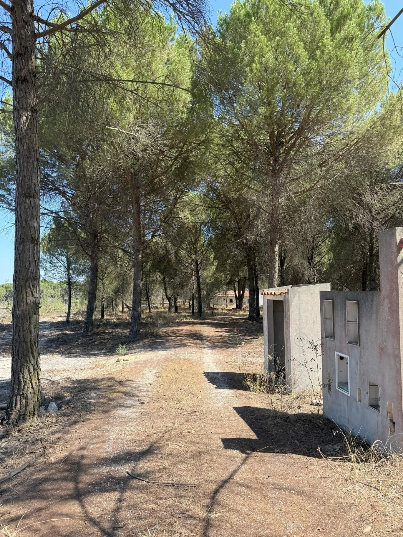 Moradia T2 para Venda em Pegões Foto 9