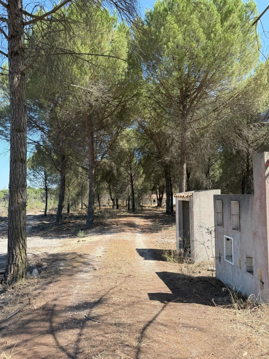Moradia T2 para Venda em Pegões Foto 9