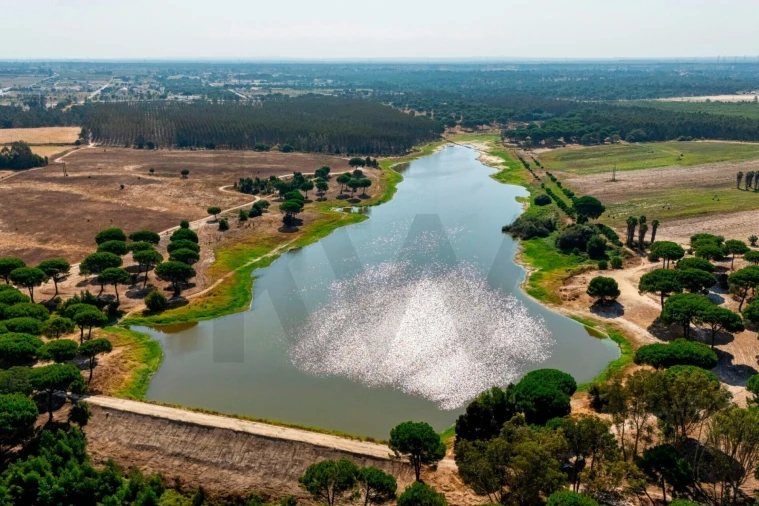 Moradia T2 para Venda em Pegões Foto 13
