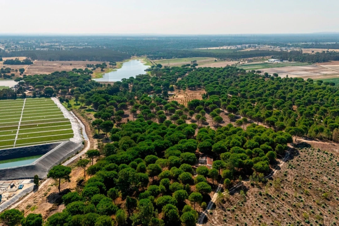 Moradia T2 para Venda em Pegões Foto 14