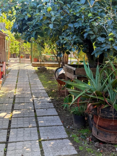 Moradia T5 para Venda em Glória e Vera Cruz