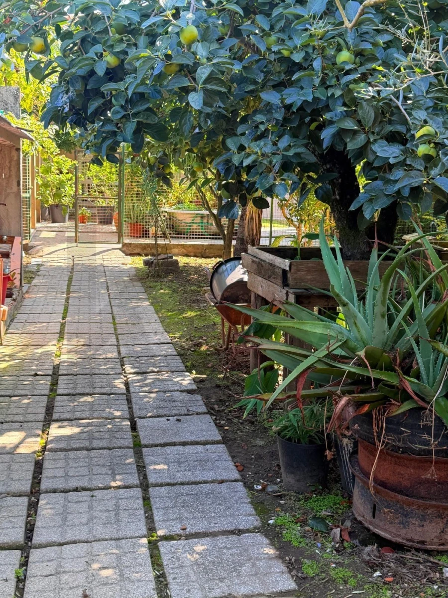 Moradia T5 para Venda em Requeixo, Nossa Senhora de Fátima e Nariz Foto 40