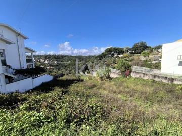 Terreno para Venda em Eiras e São Paulo de Frades