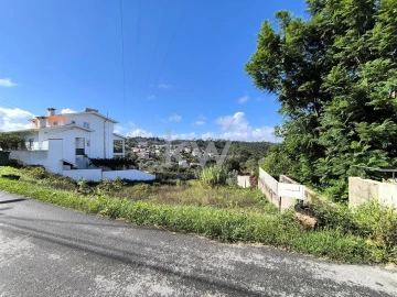Terreno para Venda em Eiras e São Paulo de Frades