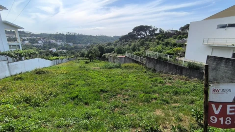 Terreno para Venda em Eiras e São Paulo de Frades