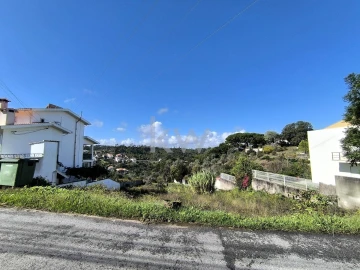 Terreno para Venda em Eiras e São Paulo de Frades