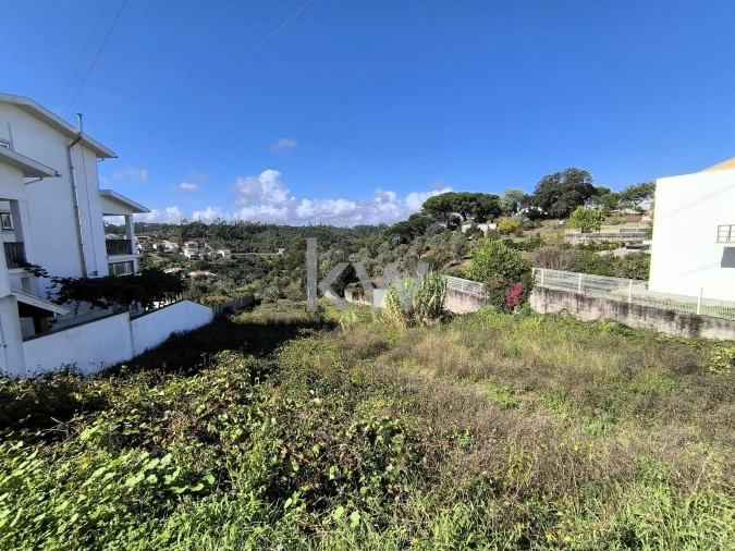 Terreno para Venda em Eiras e São Paulo de Frades Foto 2