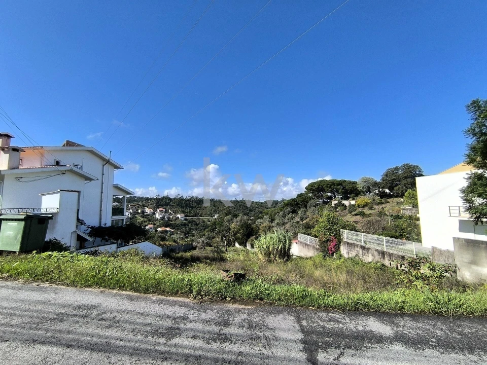 Terreno para Venda em Eiras e São Paulo de Frades Foto 3