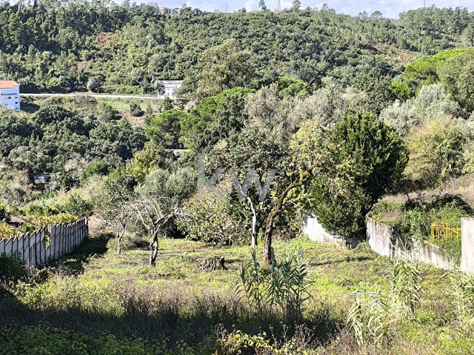 Terreno para Venda em Eiras e São Paulo de Frades Foto 1