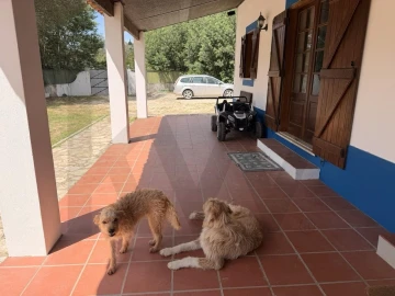 Moradia T4 para Venda em Coruche, Fajarda e Erra