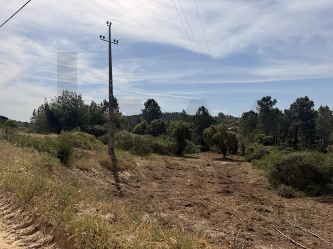 Moradia T4 para Venda em Coruche, Fajarda e Erra Foto 55