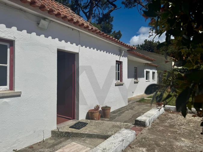 Moradia T1 para Arrendamento em Colares Foto 26