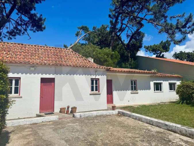 Moradia T1 para Arrendamento em Colares Foto 21