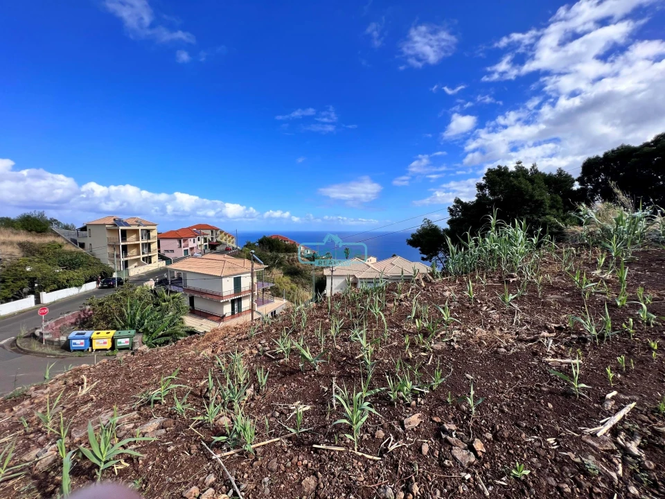 Terreno para Venda em Gaula Foto 10